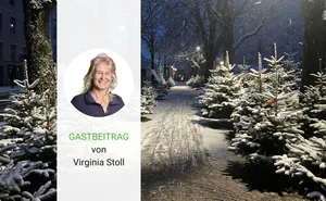 Unsere Gastautorin ist kein Weihnachtsmuffel, findet masslose Adventsbeleuchtung aber grauenhaft.