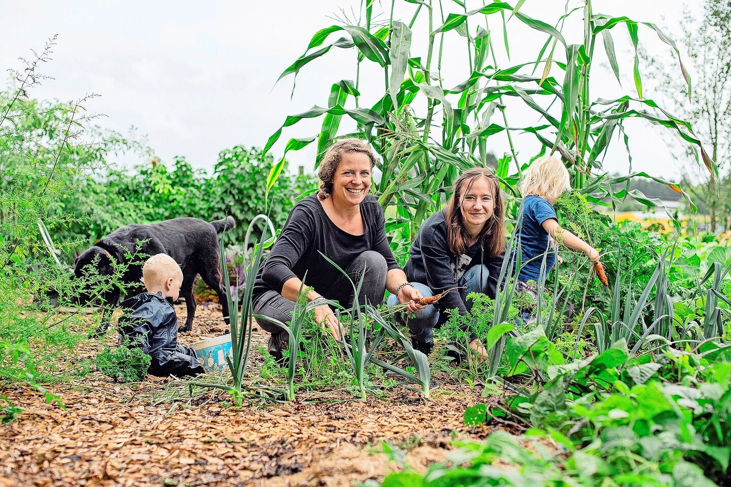 Die Ausbildnerin Tamara Vogel (l.) holt mit ihrer Agriprakti-Jugendlichen Vivien Schönbächler, ihren beiden Kleinkindern und dem Hund frische Karotten aus dem Garten.