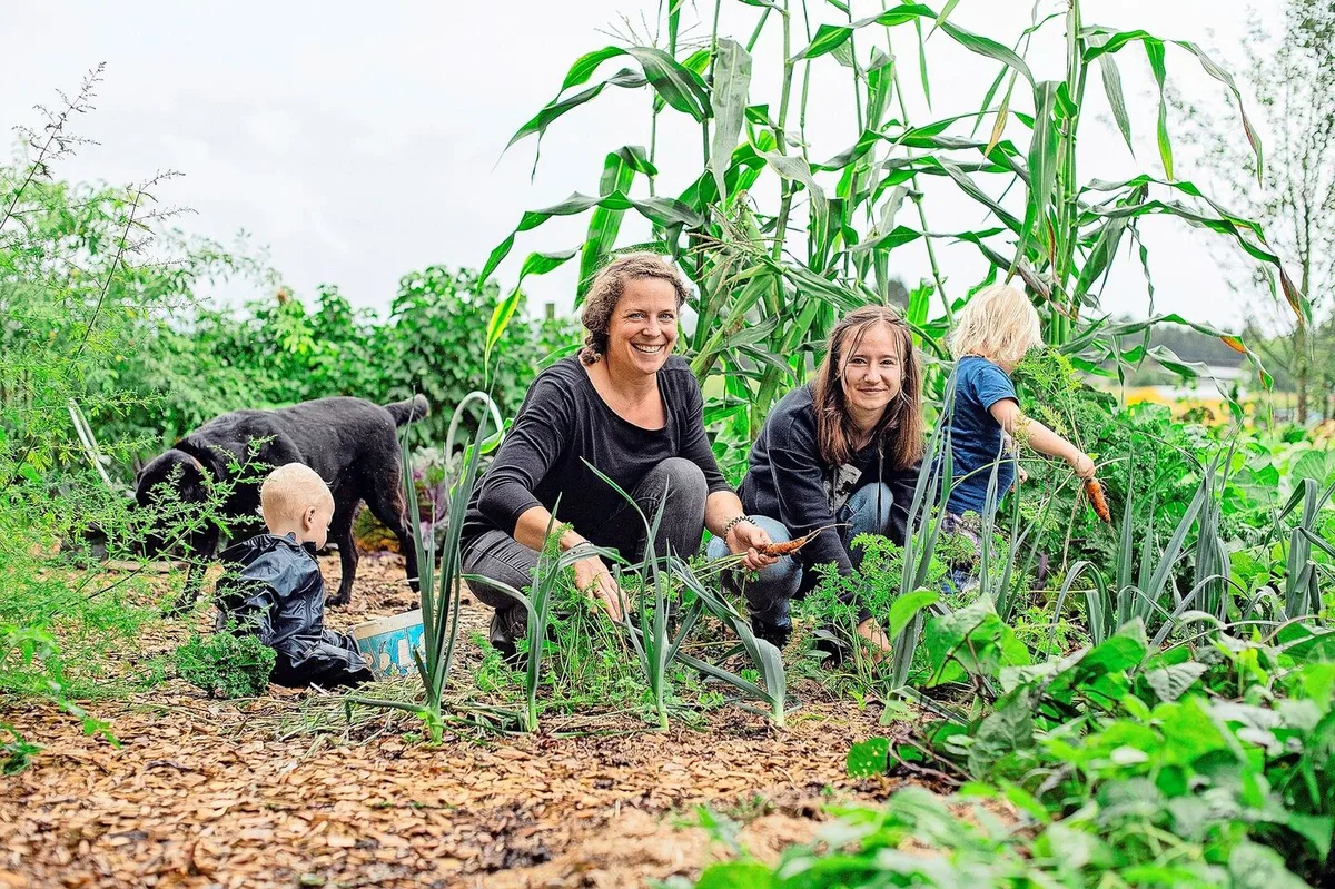 5be5a3a280e227179c1e754d95bf4718ba1874af072cba86f182dedd25fe0356 Die Ausbildnerin Tamara Vogel (l.) holt mit ihrer Agriprakti-Jugendlichen Vivien Schönbächler, ihren beiden Kleinkindern und dem Hund frische Karotten aus dem Garten.