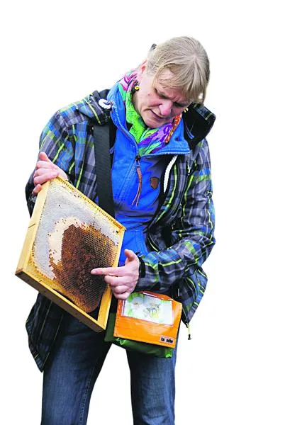 fc0c25bc44edbca52dc94dc7c1aeef0a14e00bff Undine Westphal erklärt den Aufbau der Bienenwabe. (Bild Michael Götz)