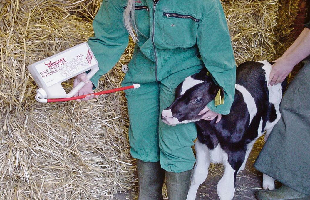 Trinkt ein Kalb überhaupt nicht, kann das Kolostrum auch mittels einer Sonde zugeführt werden. Sinnvoll dafür sind Soft-Drencher mit weichem Gummischlauch.