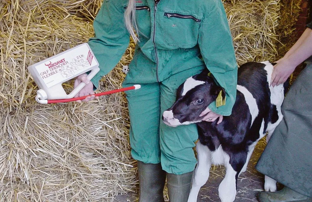 35904c5b31b57bd432ce074c3558304c1aa7e020f3847eee85a9d441a7fba0b1 Trinkt ein Kalb überhaupt nicht, kann das Kolostrum auch mittels einer Sonde zugeführt werden. Sinnvoll dafür sind Soft-Drencher mit weichem Gummischlauch.