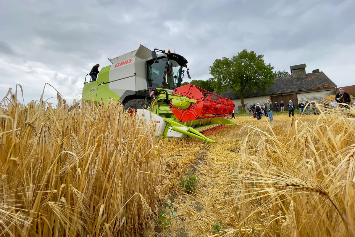 claas_evion_450_maehdrescher_Weizen Ein Mähdrescher Claas Evion 450 im Weizenfeld.