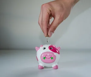 Agrisano Pencas senkt den Risikotarif und den technischen Zins für die berufliche Vorsorge. (Bild pixaby)