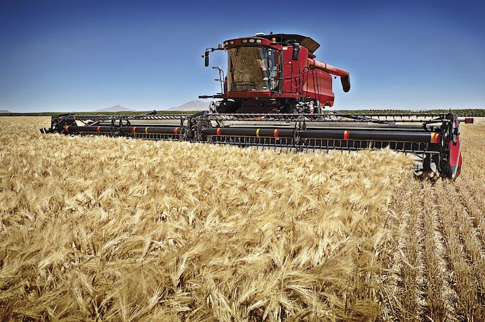 Die Preise brechen in den USA ein, weil Schätzungen falsch waren. (Bild iStock)