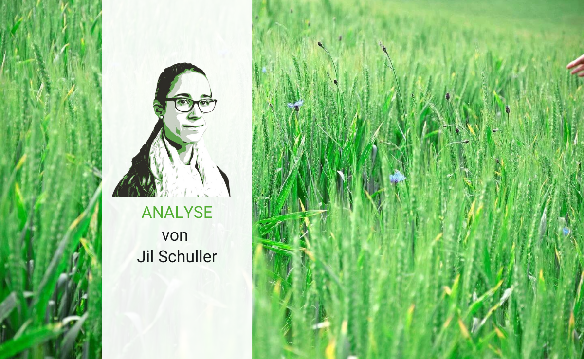 Biodiversitätsförderung wird zum Flächenkampf – aber was heisst «Schützen»?