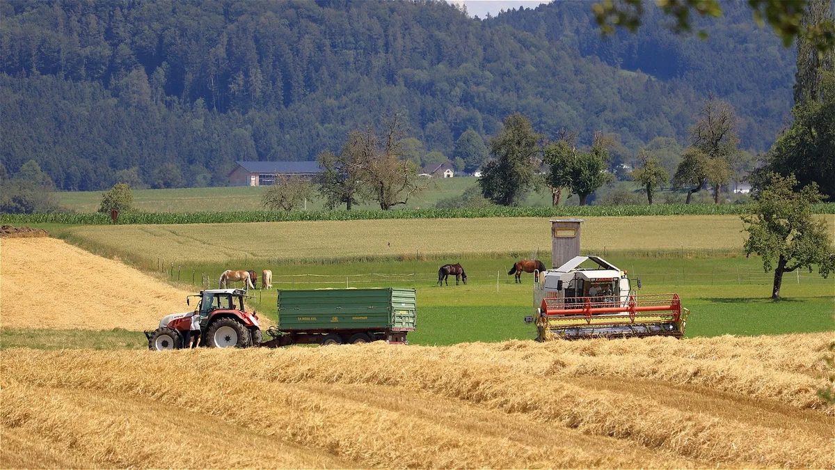 field-gefa3143f9_1920 Nach einer katastrophalen Ernte 2021 normalisiert sich die Situation am Getreidemarkt