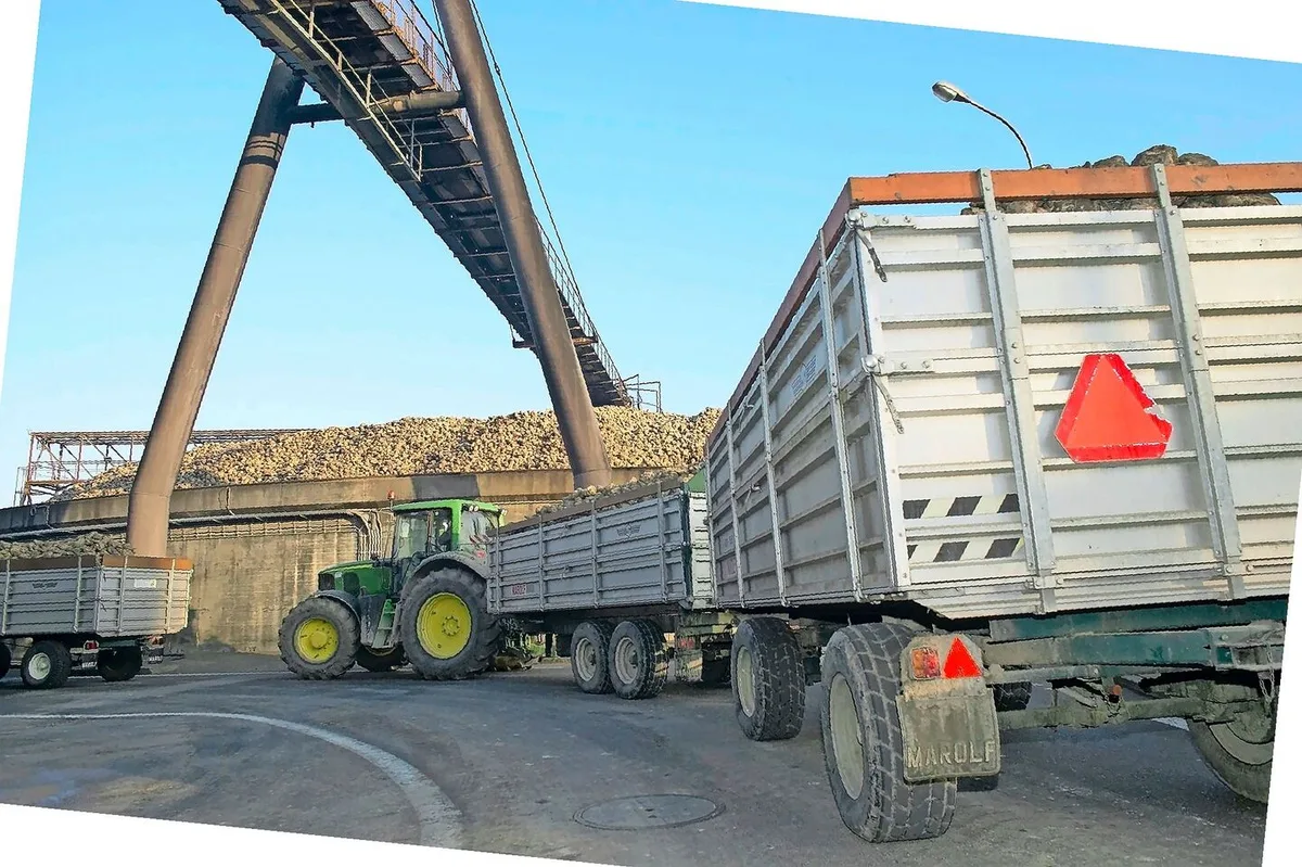 Um die Sicherheit im Strassenverkehr gewährleisten zu können, ist bei landwirtschaftlichen Fahrzeugen ein gewisses Adhäsionsgewicht einzuhalten. Dieses wurde in Frauenfeld bei Zuckerrübenlieferant(innen) überprüft.