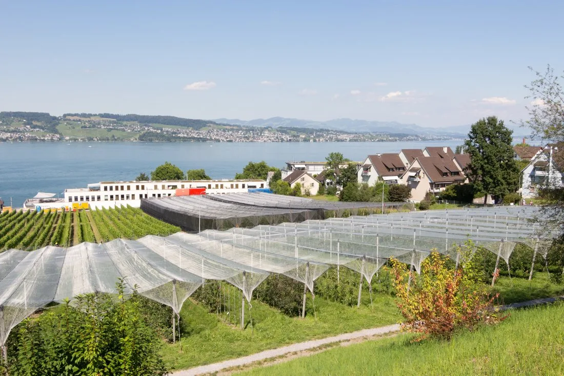 OS-A-09-Agroscope_1-Vogelperspektive Das endgültige Aus für die Apfelzüchtung in Wädenswil