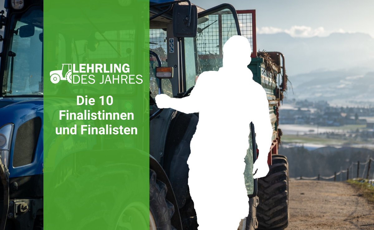 Die zehn Finalistinnen und Finalisten für den «Lehrling des Jahres 2022» stehen fest