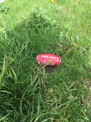 Littering ist gar nicht geil, sondern eine Gefahr für weidende Tiere und eine mögliche Quelle von Mikroplastik. (Bild jsc)