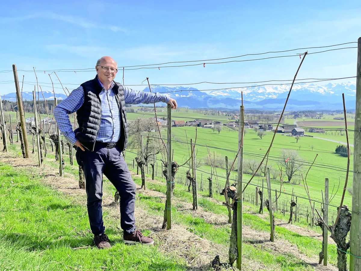 ZS-A-9-Weinbau-3sp Weinbau mit Herzblut: Warum die Zentralschweiz auf Piwi-Sorten setzt