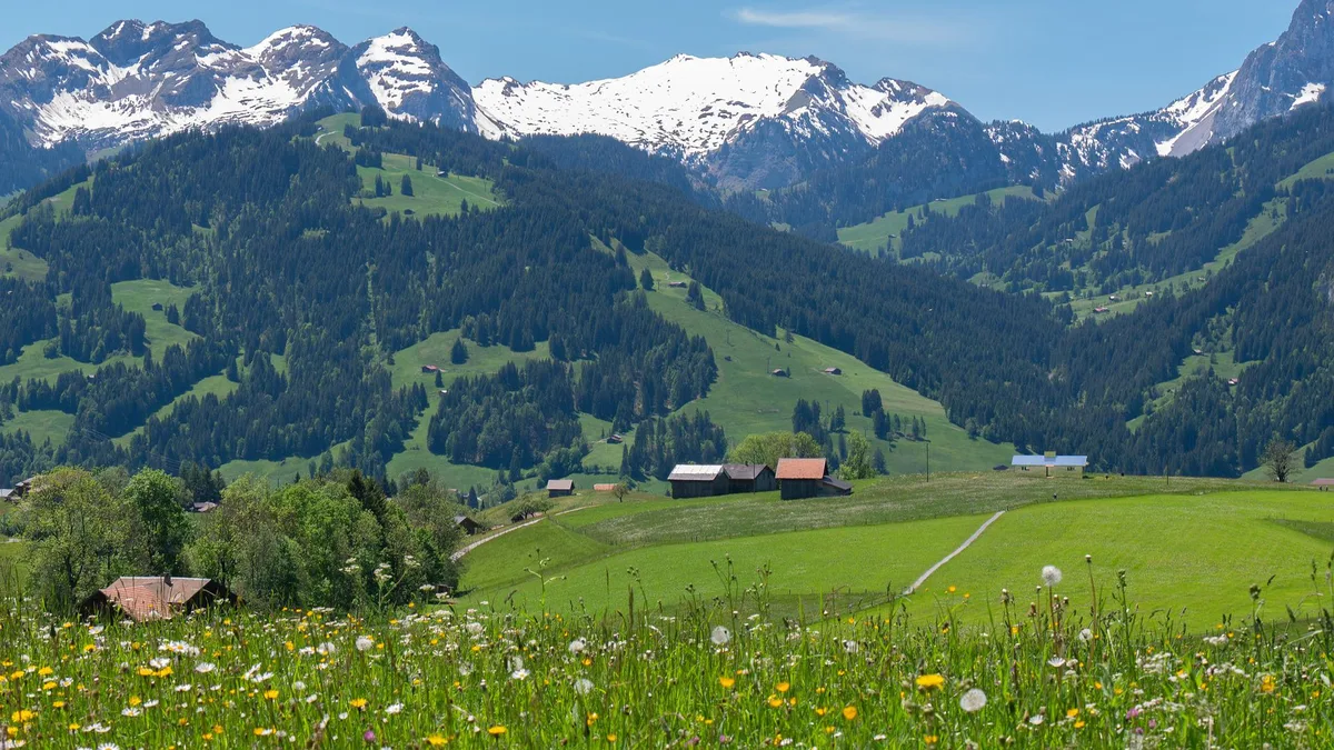 berner_oberland_chiemseherin Der Verein Alpwirtschaft Bern und 78 Grossräte fordern zum Handeln auf
