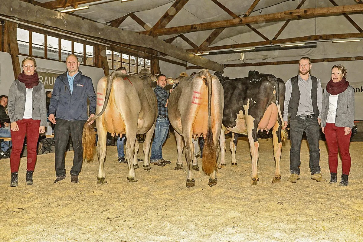 Schöneutersiegerinnen bei den jungen Kühen. (Bilder Hugo Studhalter)