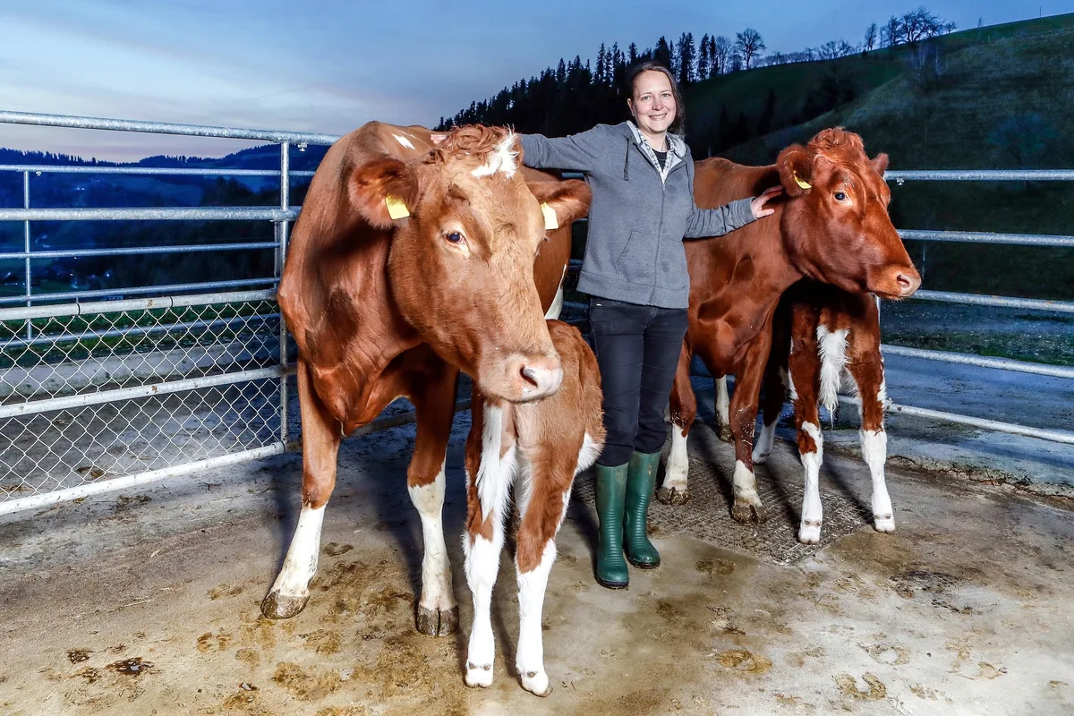 69e7089631d48763f47aa3a3381a9808f076b81c Evelyn Scheidegger gründete den Verein Cowpassion. Zusammen mit ihrem Mann hält sie auf ihrem Betrieb in Signau BE Swiss-Fleckvieh-Kühe und betreibt muttergebundene Kälberaufzucht. (Bild Blick/Siggi Bucher)