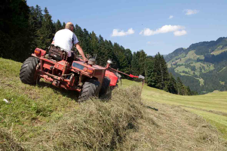 23,9% der landwirtschaftlichen Fläche in Österreich wurden letztes Jahr biologisch bewirtschaftet. (Bild Bio Österreich)