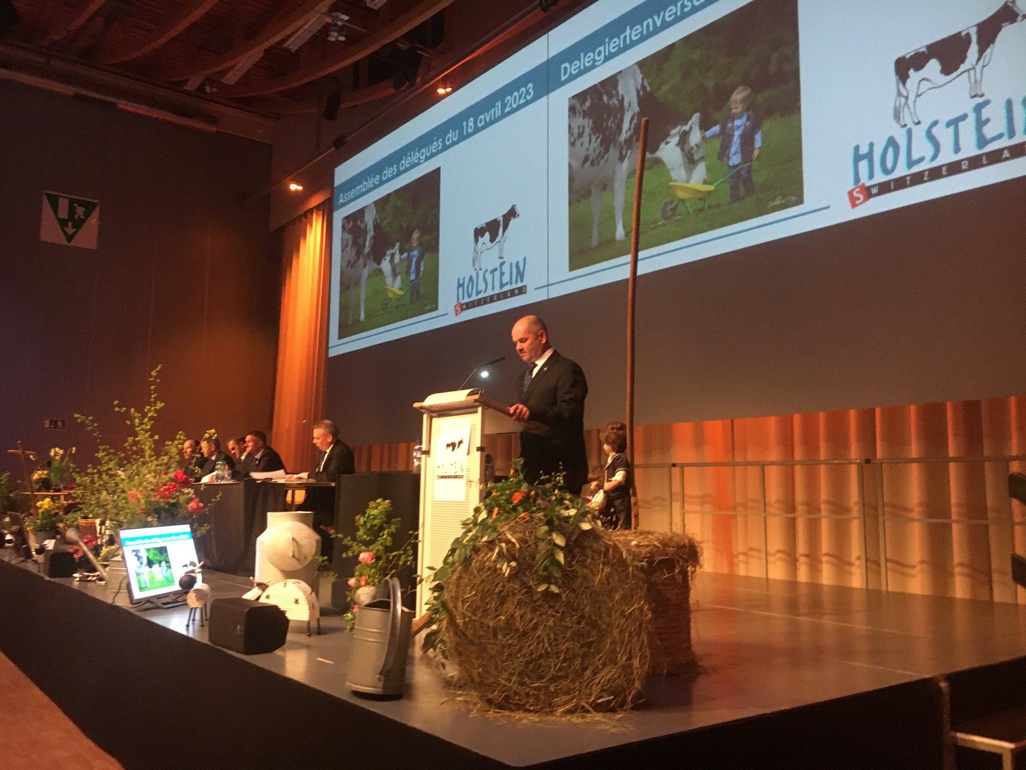 Holstein Switzerland: Weniger Züchter, aber mehr Tiere