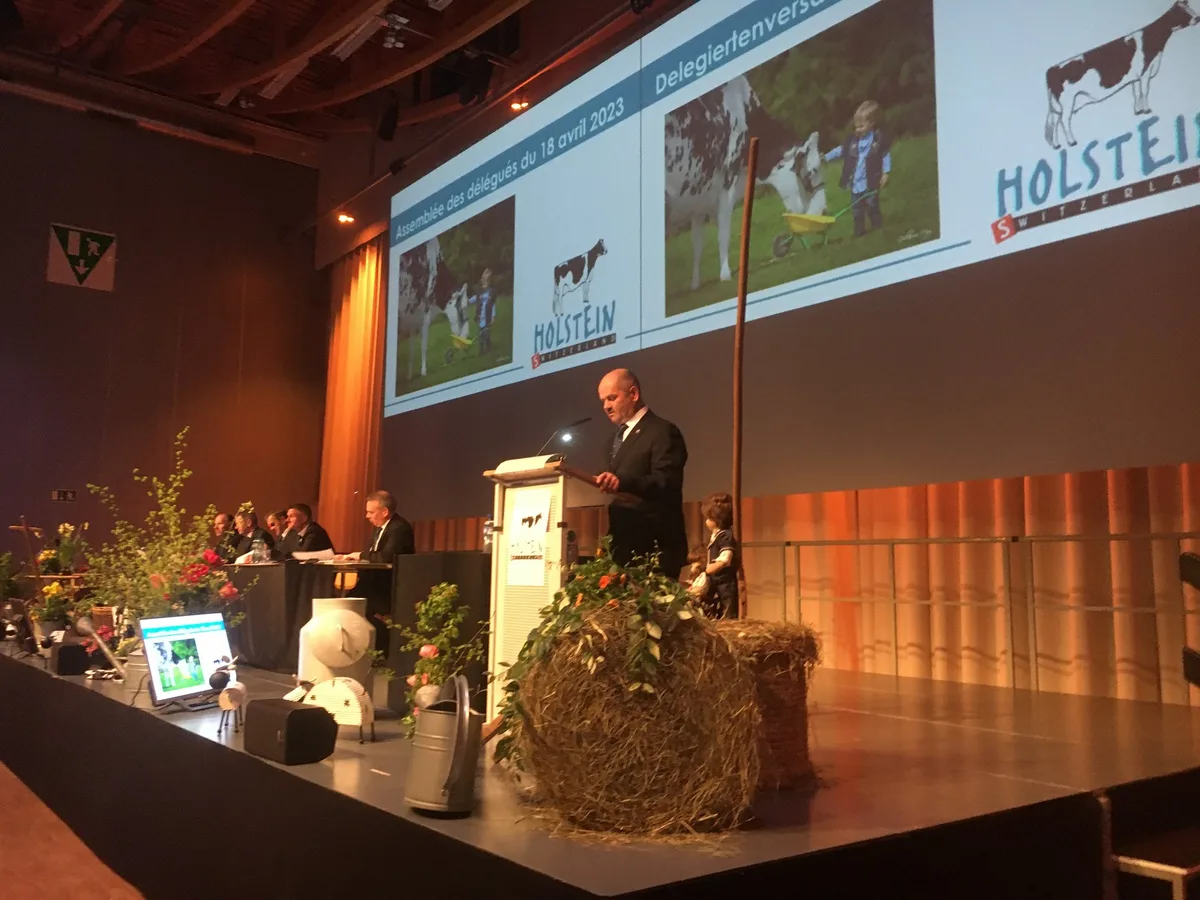 holstswitz Holstein Switzerland: Weniger Züchter, aber mehr Tiere