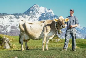 Roland Kamms Sohn Mirco und Torello Veronica, die die Marke von 100 000 kg Milchleistung geknackt hat. (Bild Braunvieh Schweiz)