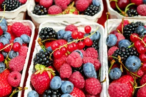 Schalen voller Beeren kann ein jeder leeren. (Bild lid)