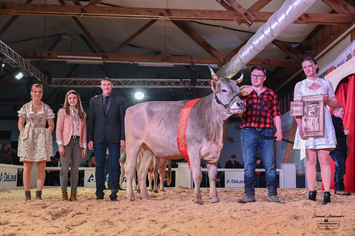 Rindermiss_der_Sorexpo_2024__Piana_von_Jungzu__chter_Ivo_Hardegger_aus_Trimmis_120.1616.0027.6 Sorexpo 2024: Killy Piana und Harlei Holly setzen sich durch