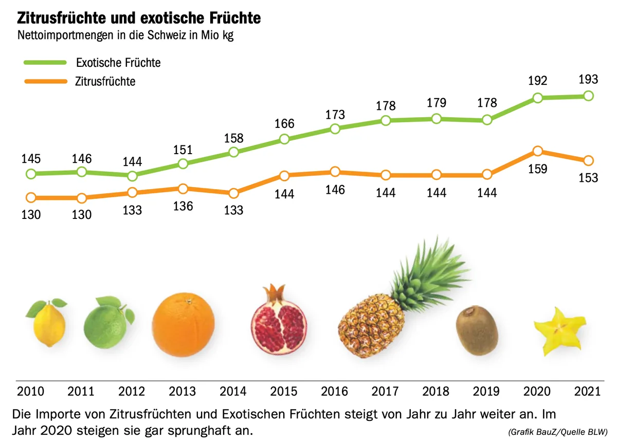 Vitaminbomben aus der Ferne gewinnen an Beliebtheit