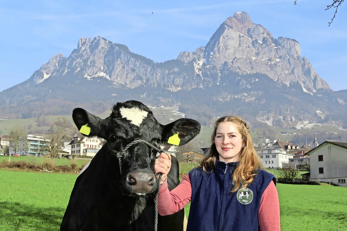 ZS_A_10_Hauptbild Nicole Reichmuth managt eine der produktivsten Holstein-Herden im Kanton Schwyz
