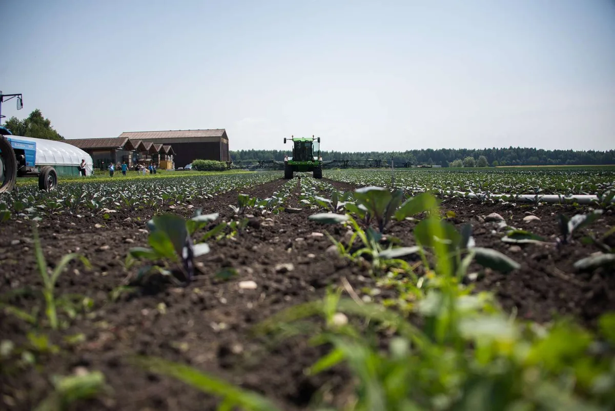1f5973a4eb13620b59dc8d3dedc73e909b1ce7b0 Die Effizienz der Feldroboter ist ein umstrittenes Thema. (Bild BauernZeitung/Archiv)