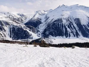 Den Sommer verbringen die Kühe des Betriebs Hischier hier auf der Grimsel, mit Blick auf die Gemeinde Oberwald.