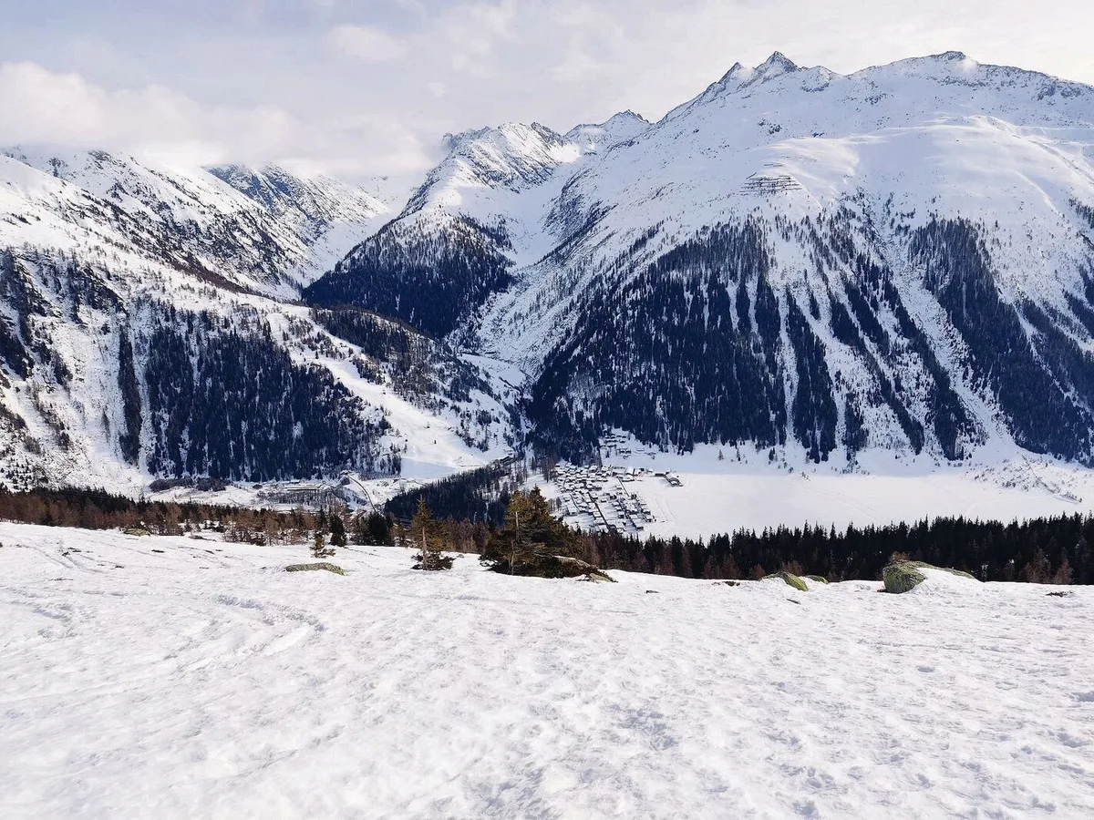 Den Sommer verbringen die Kühe des Betriebs Hischier hier auf der Grimsel, mit Blick auf die Gemeinde Oberwald.
