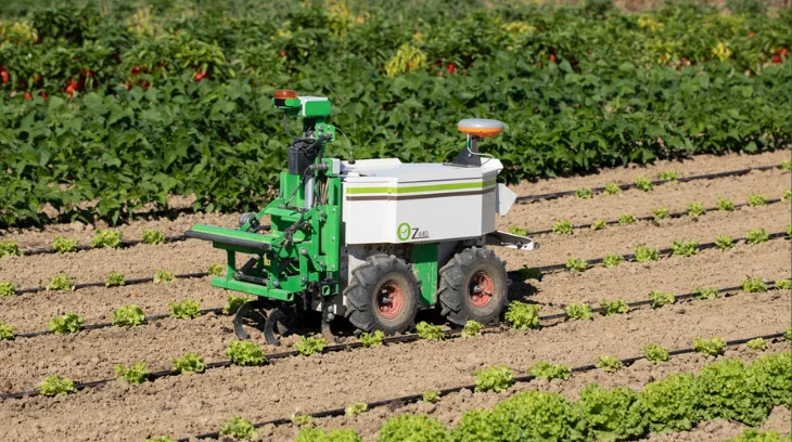 fc87fe124e3a9262b0fb74884586d90b5abb7627 Naïo Oz ist 130 Zentimeter lang, 47 Zentimeter breit und 150 kg schwer. Der Roboter fährt maximal 1,8 km/h, schafft laut Angaben des Herstellers 1000 m2 pro Stunde und hat eine Zugkraft von 300 kg. (Bilder Naïo Technologies)