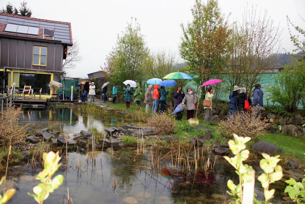 Die beeindruckende Gestaltung und Artenvielfalt des naturnahen Garten der Familie Schwery weckt das Interesse. (Bild Sandra Steffen)