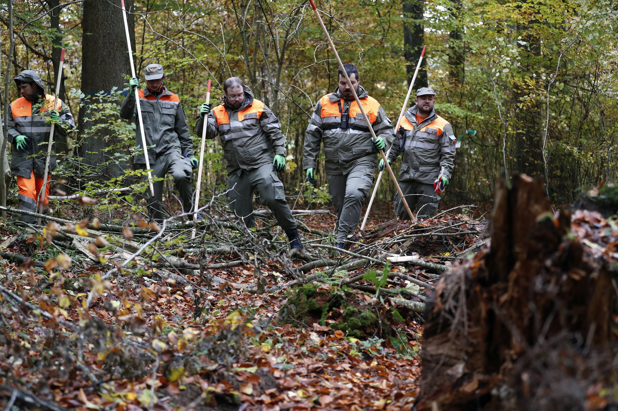 Zivilschützer rücken in einer Reihe, mit Stangen ausgerüstet im Wald vor.