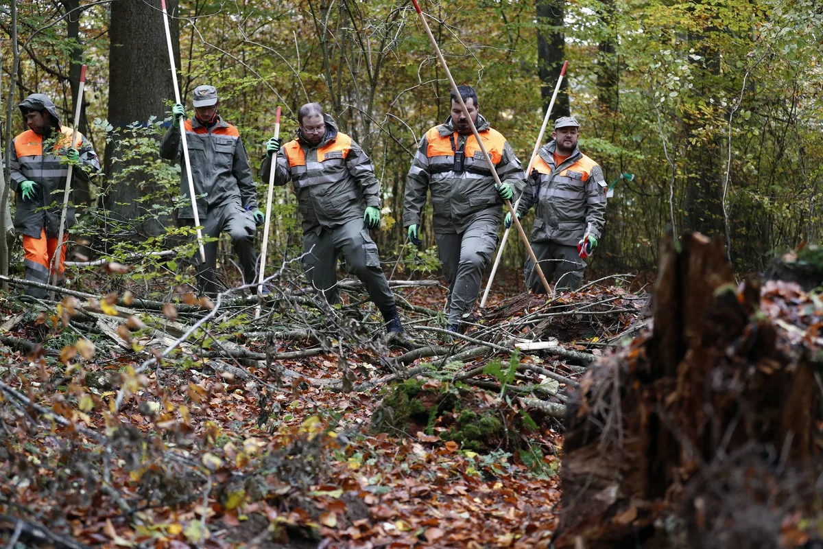 dg_21-12_th1_suche Zivilschützer rücken in einer Reihe, mit Stangen ausgerüstet im Wald vor.