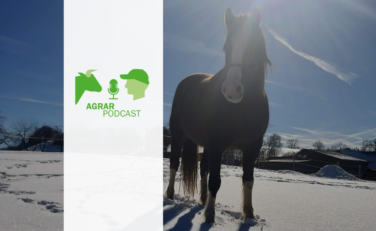 Der 15. AgrarPodcast: Aus dem Nationalrat, vom Hof Stöckweid und dem Pferderücken