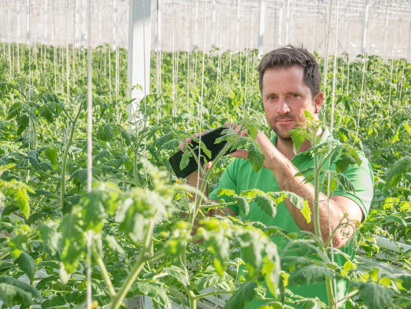 b1e560a7cafde976ad4f07e0add14c34e5161d64 Seeländer Gemüseproduzent Pascal Gutknecht ist überzeugt, dass wir bezüglich Digitalisierung erst am Anfang stehen. Solche Anlagen würden sich anbieten. (Bild David Eppenberger)