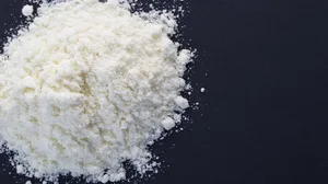 Mit einer Preisstützung für Milcheiweiss könnte die Butterproduktion attraktiver gemacht werden. (Bild zVg)
