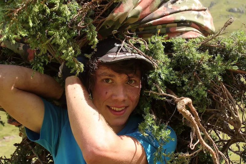 bergwaldprojekt_aufruf Bergwald und Berggebiet brauchen Freiwillige, die anpacken wollen
