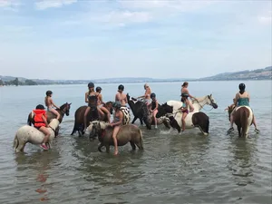 Die Rossbadi ist im Sommer ein beliebter Platz für Pferde und Reiterinnen. (Bild Sarah Forster)