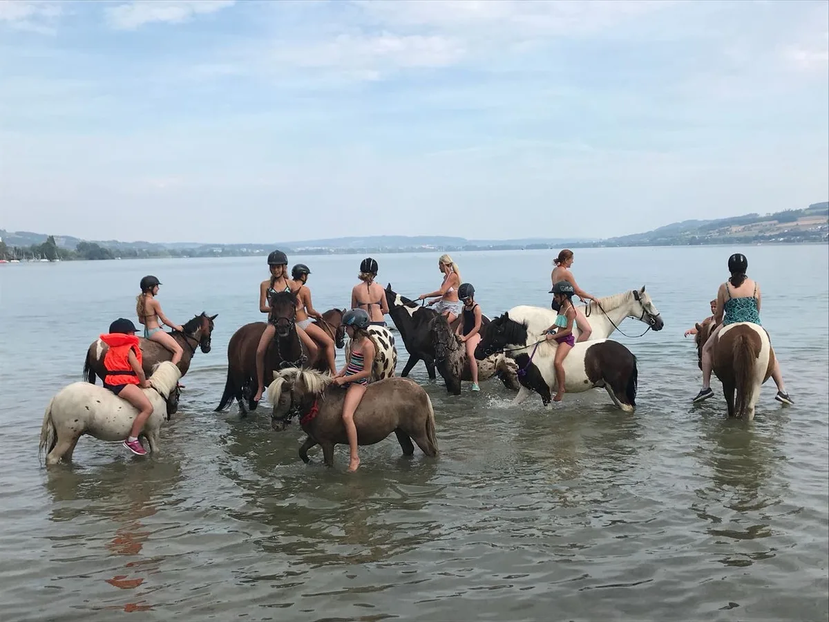 2c0fc8ca4c0303b9ff481592e6c289c4afa1a1ec Die Rossbadi ist im Sommer ein beliebter Platz für Pferde und Reiterinnen. (Bild Sarah Forster)