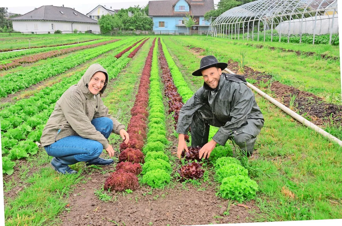 9a8fc6c5dd76efb66242cf7e9a606bca719d69abe88f348d92408c7cc5e531e5 Ruth und Noah Ammann produzieren im Freiland Salat und Gemüse, das sie im Hofladen, in Heimen und Gastrobetrieben in der Region vermarkten.