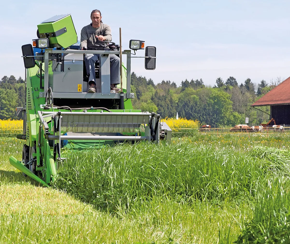 5cfc824545941f6d5e76ac2f0ceb57582e5c2d12 Agroscope testet laufend Futterpflanzen-Sorten und entwickelt standortangepasste Mischungen für den Schweizer Futterbau. Bild: Agroscope
