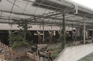 Kuh-Gärten sind luftig gebaut und sollen ähnlich sein wie eine Weide. (Bild Bayerische Milchindustrie eG)