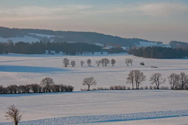 f1ed35caa3eafd641c3dc82620b687079609a7a9 Eine aussergewöhnlich grosse Fläche sucht im Berner Jura einen neuen Bewirtschafter. (Bild «Bieler Tagblatt»)