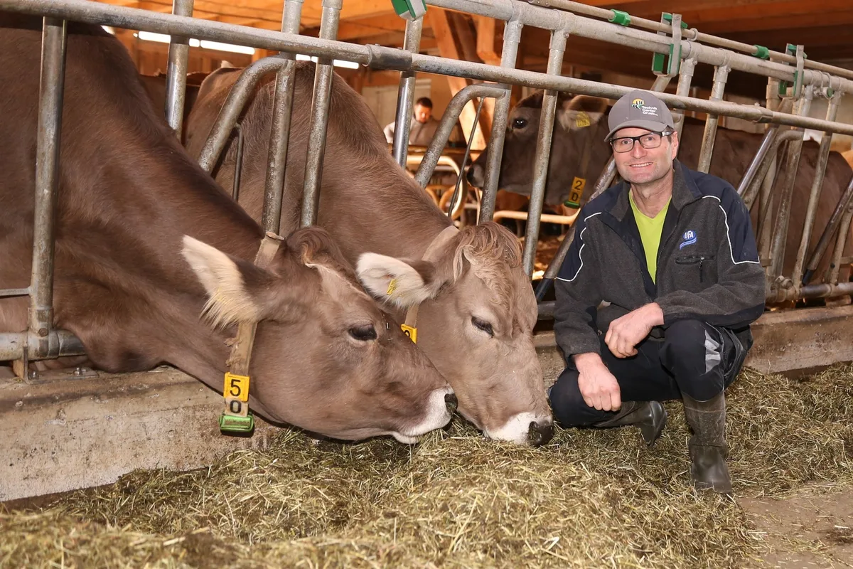 221108_Kuhsignale_039 Passt das Vieh zum Betrieb, verbessert sich auch die Wirtschaftlichkeit