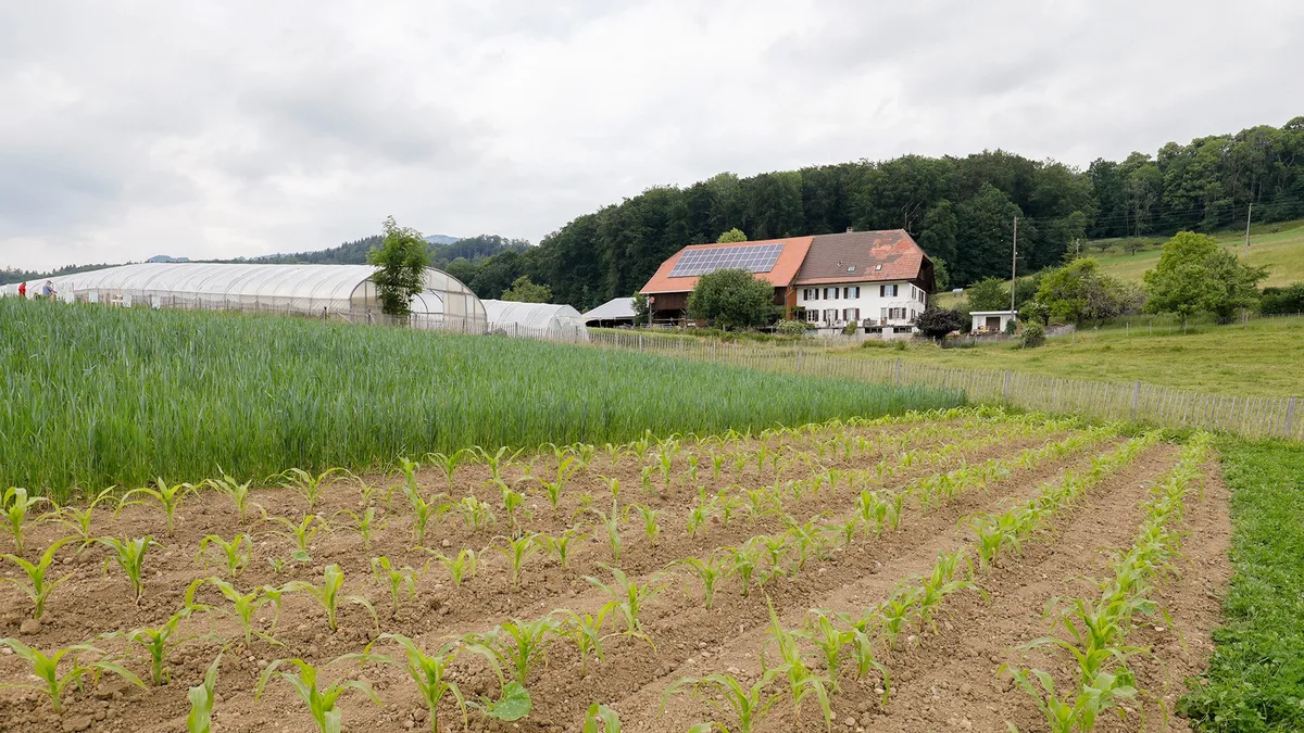 Pro_natura_pflanzliche_ernaehrung Pro Natura unterstützt Franziska Herrens Ernährungs-Initiative