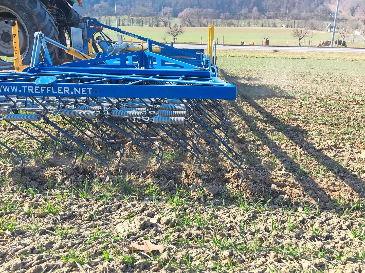 Bestockung im Getreide fördern