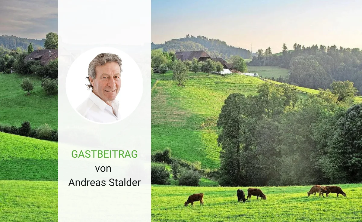 Mitgestalten bedeutet auch, Verantwortung zu übernehmen
