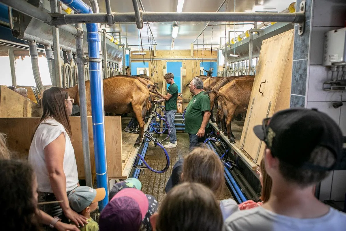 Der SBV sucht Menschen, die der Landwirtschaft ein Gesicht geben