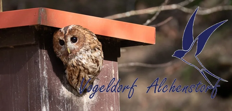 a904b122a670f09a4b063c6aff74189c8a1deb28 Vögel kann jeder fördern, sagt Andreas Aebi. (Bild Screenshot Vogeldorf.ch)
